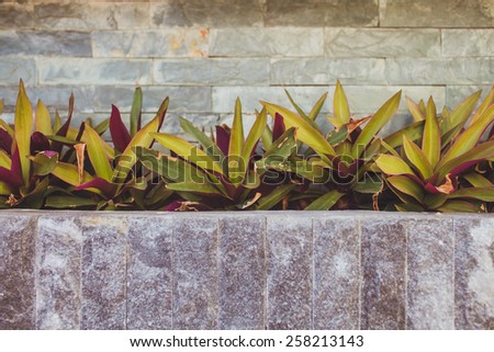 Stone Wall, Steps and Planter on  colorful, landscaped  Garden