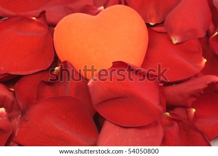 big red heart is in the petals of red roses