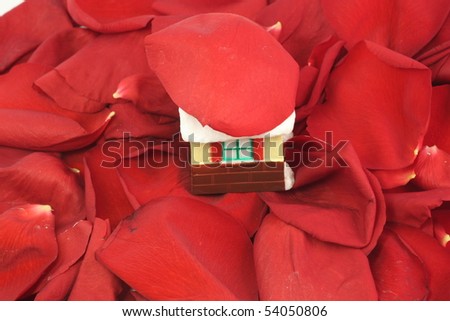 doll house stands on the petals of red roses