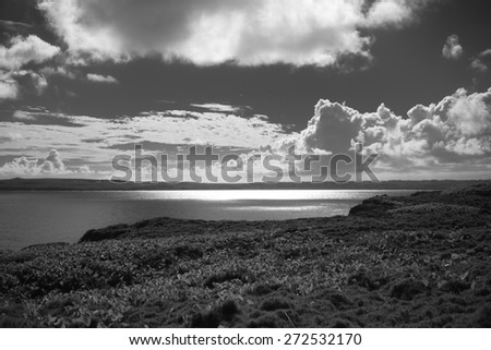 A black and white tropical ocean landscape.