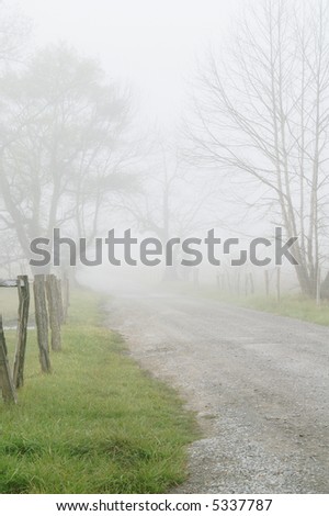 Sparks Lane, Great Smoky Mountains National Park on a Foggy Spring Morning Vertical