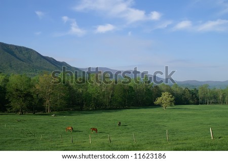 Great Smoky Mountains National Park, Cades Cove Pastoral Scene Horizontal With Copy Space