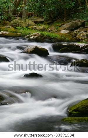 Great Smoky Mountain National Park Spring Rushing River Vertical