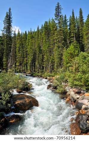 Alpine Stream