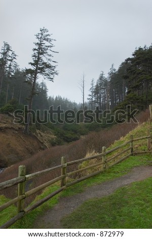 Photo of the trail to Indian Beach at Ecola State Park, Oregon, USA