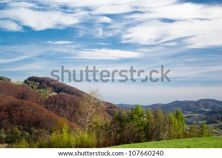 Spring in Mountains