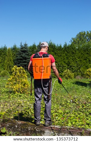 Pesticides Spraying. Farmer kills weed spraying pesticides in field by manual backpack sprayer. Europe, Poland.