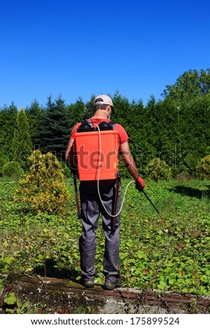 Pesticides Spraying. Farmer kills weed spraying pesticides in field by manual backpack sprayer. Europe, Poland.