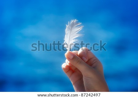 Hand holding a feather in front of blue natural background
