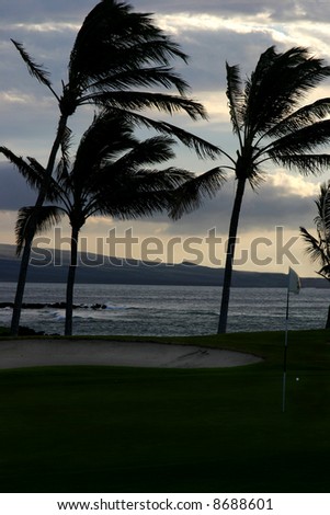 silhouette of palm trees with golf flag and sandpit