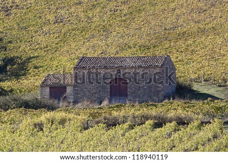Farmhouse in a vineyard, Sicily