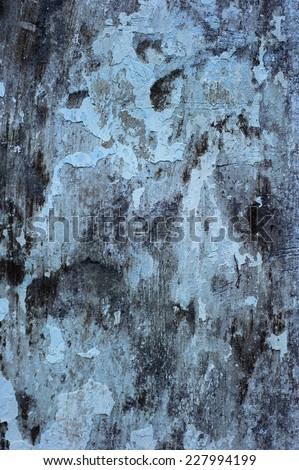 Plastered Board/A wooden board covered with scratched plaster