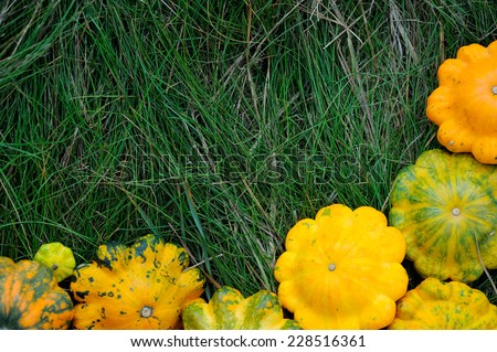 Patty Pan Squashes on Grass; patty pan squashes in the corner of the picture
