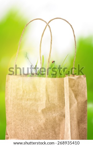 Simple recycled paper shopping eco bag with fresh grocery and ladybug on green leaf