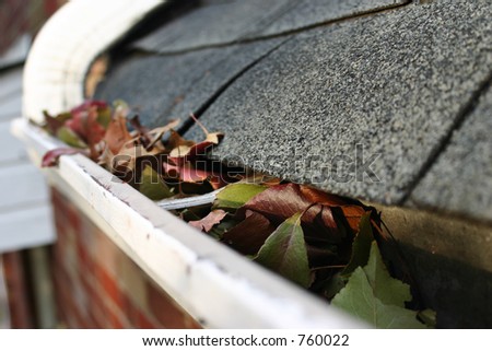 A fall tradition - cleaning the gutters of leaves. Here, we see them clogging the gutters of a traditional home. Could be used for advertising/clean up articles/etc.