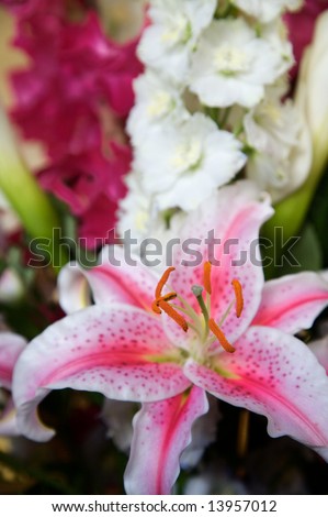 A beautiful stargazer lily and other flowers in an arrangement - the stamens are in focus but very little else is in focus - very narrow DOF