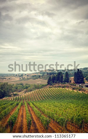 Italy,Tuscany in Autumn, stormy clouds  sky and vineyard