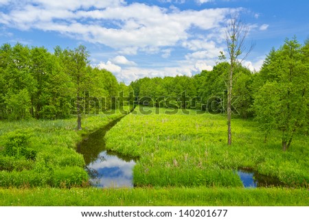 Landscape with brook and meadow and forest.
