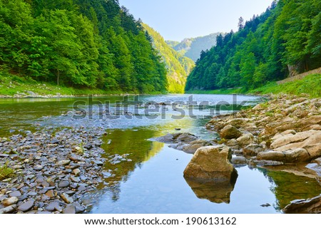 Stone in The Dunajec River Gorge. National border between Poland and Slovakia. The Pieniny Mountains Range nature reserve.