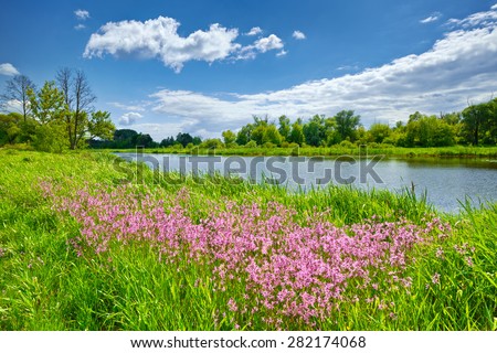 Spring flowers river landscape blue sky clouds countryside