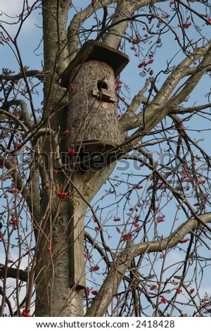 Small House Birds