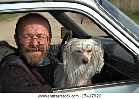 Bald the man of average years with a white dog in the car