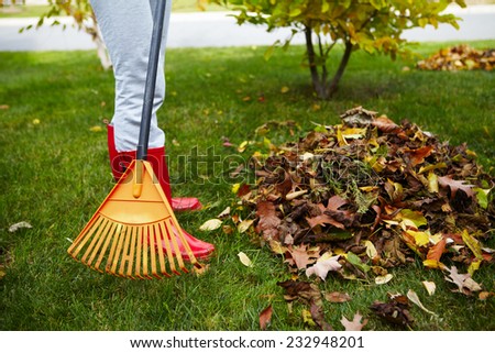 Woman in red boots raking Fall leaves in backyard
