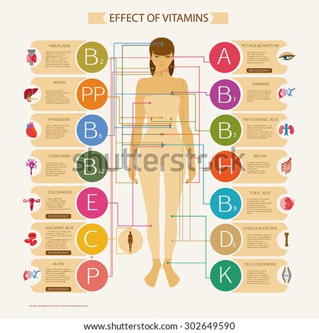 The Greatest Influence On The Organs And Systems Of The Human Body