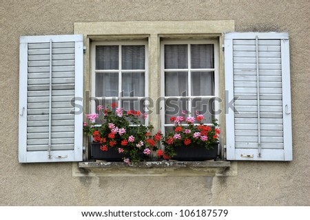 geranium flowers on a window ledge
