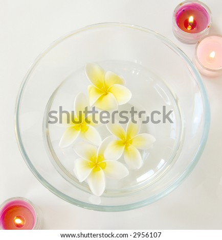 frangipani flowers in a bowl of water with candles