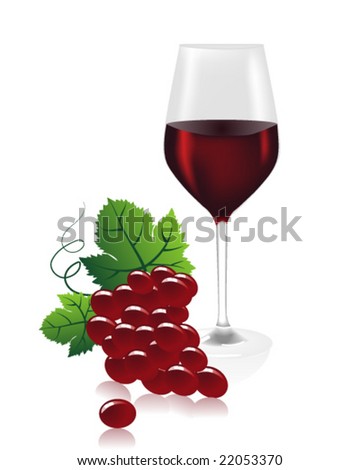 red wine glass. stock vector : a wine glass