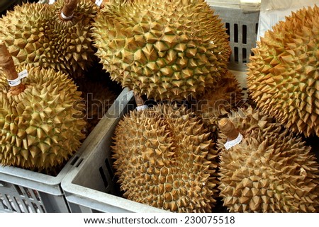London, United Kingdom - September 3rd, 2009: Durian fruit on display in plastic crates on a market stall in Central London. The fruit originates from Asia and is renowned for its potent aroma.