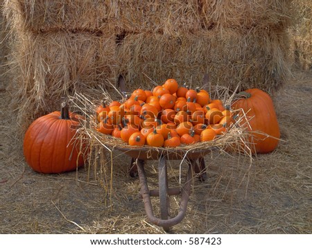 Mini pumpkins in a wheel barrow with two large pumpkins against hay bales