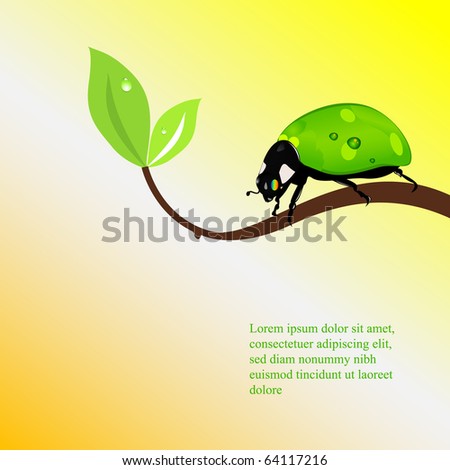 green ladybird