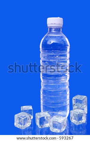 Bottle On Ice