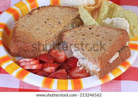 Tuna salad sandwich on 12-grain toast with strawberries and veggie chips in picnic plate.