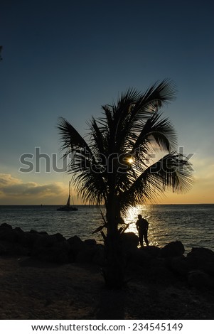 Man under palm tree gazing into sunset on ocean with sailboat.  High contrast silhouette.