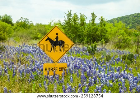 Landscape of Texas Hill Country Terrain with Horse Crossing sign surrounded by bluebonnets.  Mesquite trees and prickly pear with hills and soft clouds in blue sky.