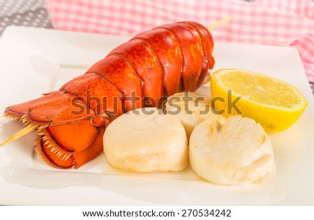 Closeup of Seafood Dinner  on white plate in pastel setting.  Steamed Lobster Tail with Sauteed Scallops.