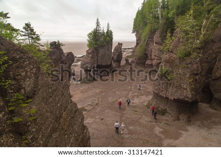 NEW BRUNSWICK, CANADA-JUN 10, 2015: Tourists walking on sea floor of Bay of Fundy at low tide in Hopewell Rocks Park in New Brunswick Canada.