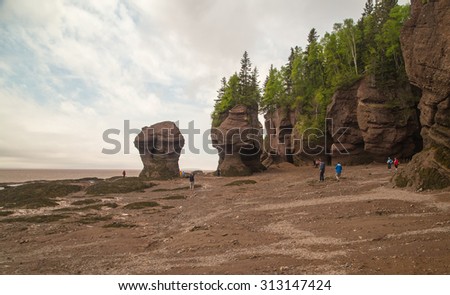 NEW BRUNSWICK, CANADA-JUN 10, 2015: Tourists walking on sea floor of Bay of Fundy at low tide in Hopewell Rocks Park in New Brunswick Canada.