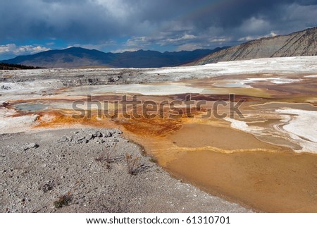 Brilliant colors of boiling hot water, chemicals and bacteria  of Mammoth Hot Springs in Yellowstone National Park release sulfurous clouds of steam and odorous gases in this landmark landscape.