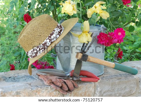 A gardener on break, leaving water bucket, straw hat, gloves and gardening tools setting on stone wall with yellow iris and old fashioned red roses background.