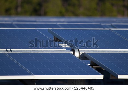 Central Florida power generation farm\'s solar panels point toward the early morning sun. The panels are mounted on moving racks, that follow the sun, maximizing solar collection capabilities.