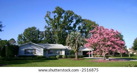 Front of a white ranch-style house with a Pink Tabebuia tree in full bloom, Orlando, Florida PHOTO ID: House00009a