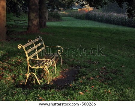 Old park bench in early morning light