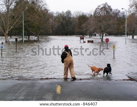 Man plays with his dogs in flood waters, American River, Sacramento, California