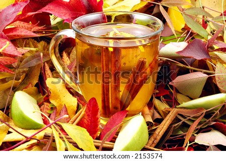 Mug of hot apple cider steeping with cinnamon sticks surrounded by autumn leaves