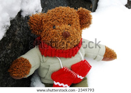 Teddy bear dressed for winter playing outside in the snow