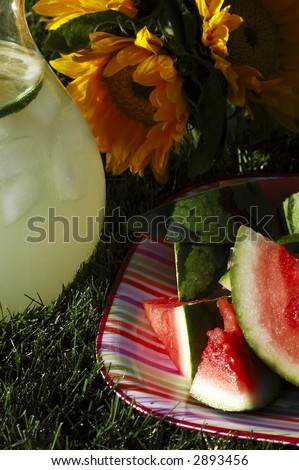 Pitcher of lemonade, plate of watermelon, vase of sunflowers on grass in summer afternoon sunlight
